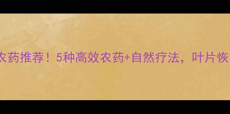 图片 🌱西葫芦黑星病农药推荐！5种高效农药+自然疗法，叶片恢复快产量翻倍💊1