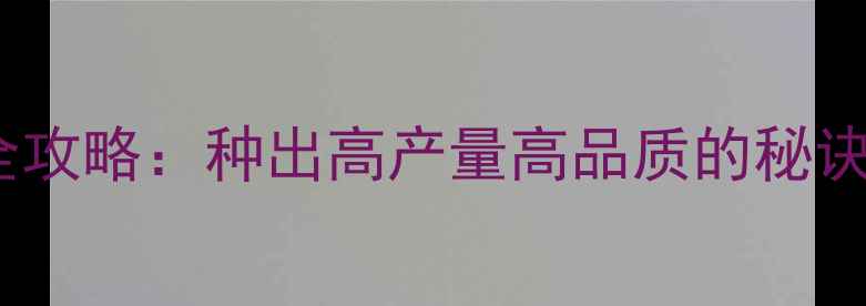 图片 🌱进口农药选购全攻略：种出高产量高品质的秘诀，附避坑指南🌱1