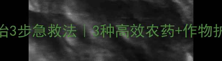 图片 🌱青枯病防治3步急救法｜3种高效农药+作物护理全攻略🌱