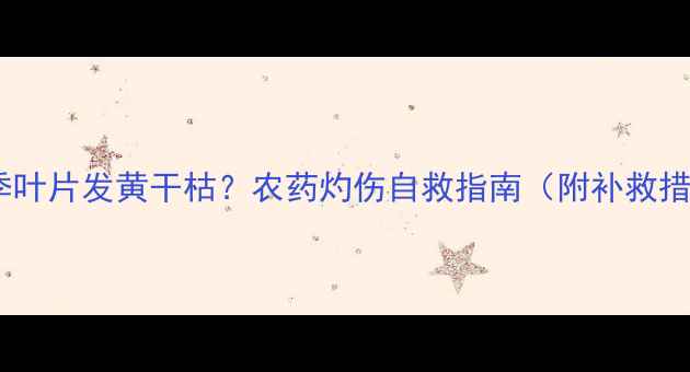 图片 🌹月季叶片发黄干枯？农药灼伤自救指南（附补救措施）1