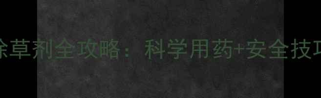 图片 🌻向日葵大田种植除草剂全攻略：科学用药+安全技巧，助您增产增收！
