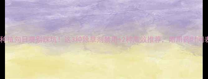 图片 🌻种植向日葵别踩坑！这3种除草剂禁用+2种高效推荐，附用药时间表1