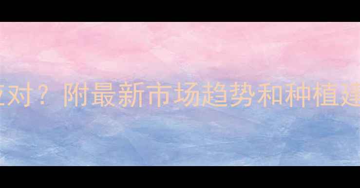 图片 🌾12月小麦价格暴涨！农民如何应对？附最新市场趋势和种植建议（附政策解读+未来行情预测）
