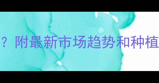 图片 🌾12月小麦价格暴涨！农民如何应对？附最新市场趋势和种植建议（附政策解读+未来行情预测）1