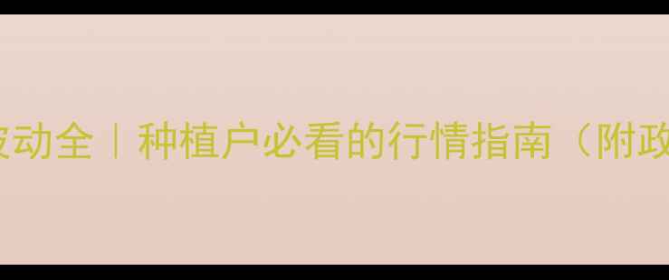 图片 🌾东营市小麦价格波动全｜种植户必看的行情指南（附政策补贴+风险预警）