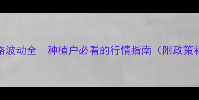 图片 🌾东营市小麦价格波动全｜种植户必看的行情指南（附政策补贴+风险预警）1
