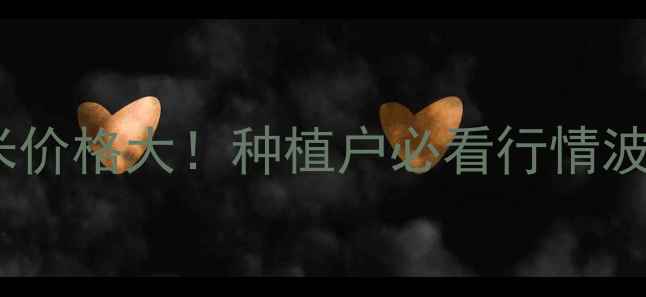 图片 🌾今日四川宜宾玉米价格大！种植户必看行情波动+种植技巧全攻略