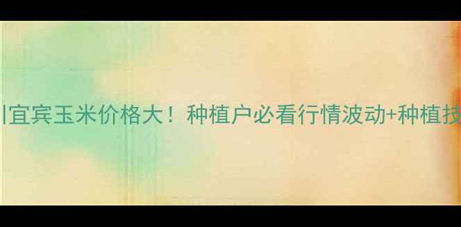 图片 🌾今日四川宜宾玉米价格大！种植户必看行情波动+种植技巧全攻略1