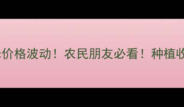 图片 🌾今日辽宁玉米价格波动！农民朋友必看！种植收购销售全攻略1