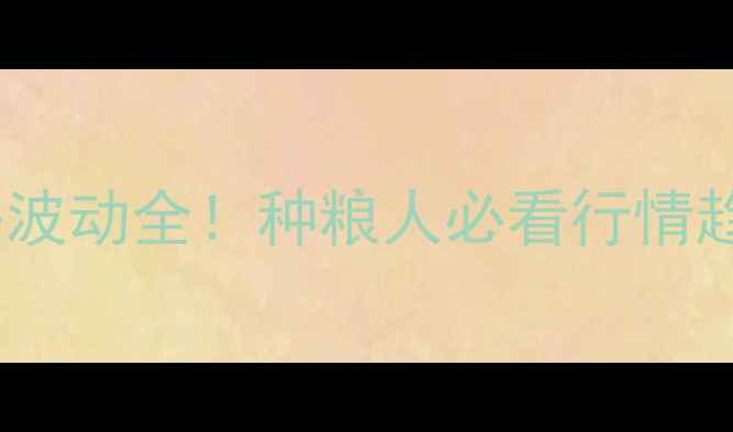 图片 🌾全国玉米价格波动全！种粮人必看行情趋势+避坑指南🌾