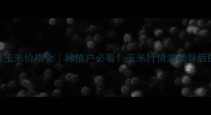 图片 🌾农安县玉米价格全｜种植户必看！玉米行情波动背后的秘密🌾