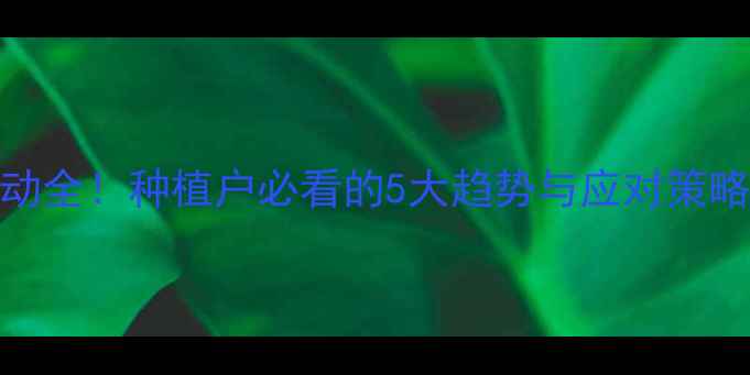 图片 🌾合肥玉米价格波动全！种植户必看的5大趋势与应对策略（附实时数据）🌾