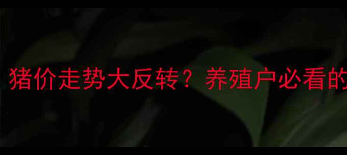 图片 🌾小麦价格暴涨！猪价走势大反转？养殖户必看的三大行情分析！1