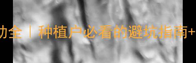 图片 🌾小麦价格波动全｜种植户必看的避坑指南+市场趋势预测1