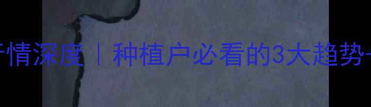 图片 🌾小麦价格行情深度｜种植户必看的3大趋势+4项避坑指南