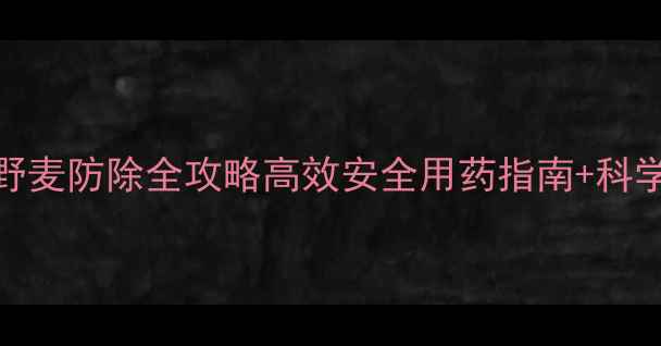 图片 🌾小麦田野麦防除全攻略高效安全用药指南+科学管理技巧