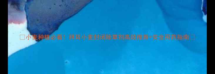 图片 🌾小麦种植必看！拜耳小麦封闭除草剂高效推荐+安全用药指南✅
