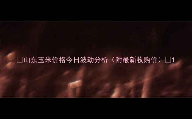 图片 🌾山东玉米价格今日波动分析（附最新收购价）🌾1