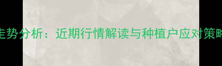 图片 🌾山东玉米价格走势分析：近期行情解读与种植户应对策略（附详细数据）