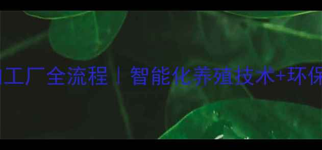 图片 🌾徐州饲料加工厂全流程｜智能化养殖技术+环保生产指南📈1
