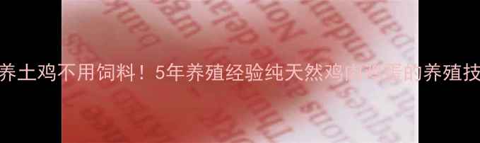 图片 🌾散养土鸡不用饲料！5年养殖经验纯天然鸡肉鸡蛋的养殖技巧🐔