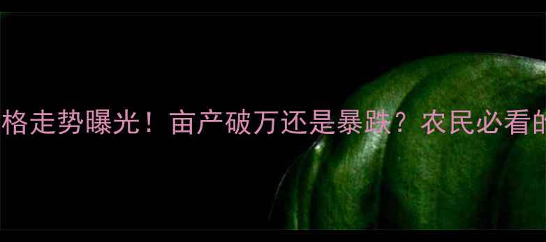 图片 🌾新玉米潮粮价格走势曝光！亩产破万还是暴跌？农民必看的三大市场信号1