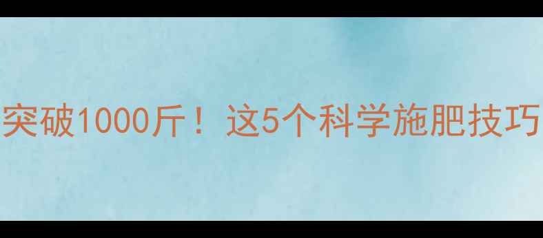 图片 🌾水稻亩产轻松突破1000斤！这5个科学施肥技巧让增产不再是梦