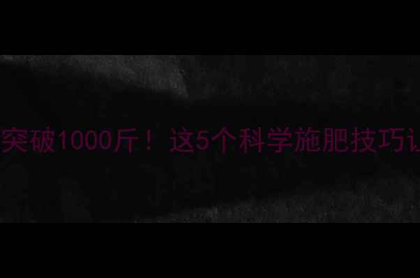 图片 🌾水稻亩产轻松突破1000斤！这5个科学施肥技巧让增产不再是梦1