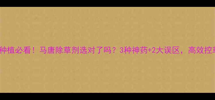 图片 🌾水稻种植必看！马唐除草剂选对了吗？3种神药+2大误区，高效控草指南1