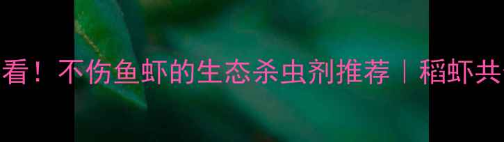 图片 🌾水稻种植户必看！不伤鱼虾的生态杀虫剂推荐｜稻虾共生系统升级指南