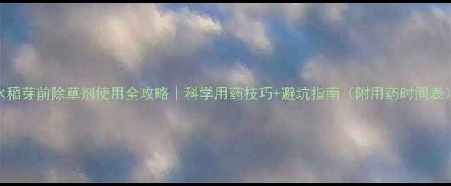 图片 🌾水稻芽前除草剂使用全攻略｜科学用药技巧+避坑指南（附用药时间表）💧