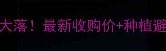 图片 🌾江苏小麦价格大起大落！最新收购价+种植避坑指南，农民必存📌
