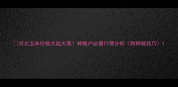 图片 🌾河北玉米价格大起大落！种植户必看行情分析（附种植技巧）1