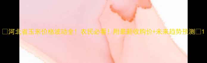 图片 🌾河北省玉米价格波动全！农民必看！附最新收购价+未来趋势预测🌾1
