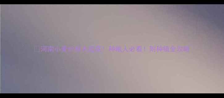 图片 🌾河南小麦价格大起底！种粮人必看！附种植全攻略