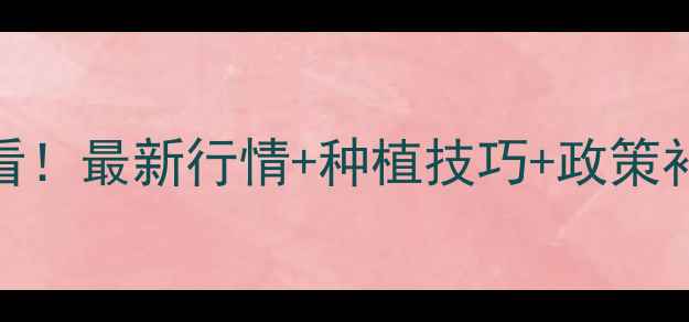 图片 🌾河南玉米价格全种植户必看！最新行情+种植技巧+政策补贴，手把手教你稳赚每一季
