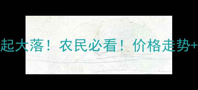 图片 🌾玉米价格大起大落！农民必看！价格走势+应对策略全📈