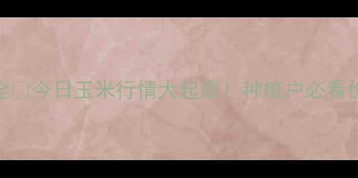 图片 🌾甘肃玉米价格波动全🌾今日玉米行情大起底！种植户必看价格走势+种植技巧💰1