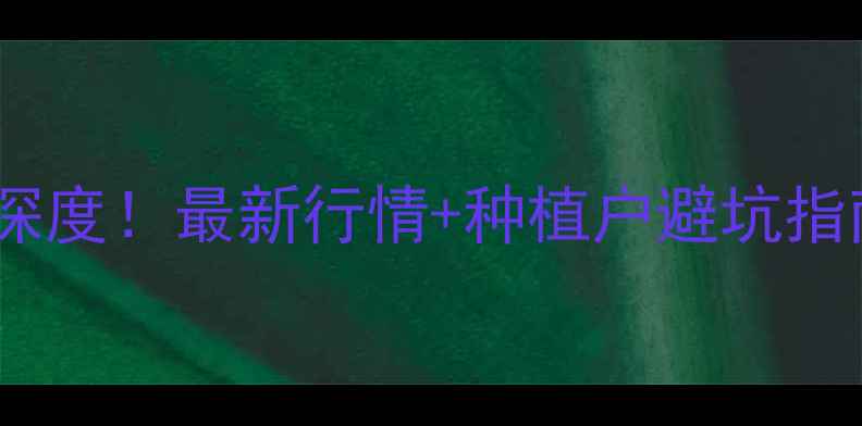 图片 🌾秦皇岛港玉米价格深度！最新行情+种植户避坑指南，种植决策必看！1