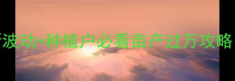 图片 🌾菏泽玉米价格最新波动+种植户必看亩产过万攻略！附销路+补贴政策1
