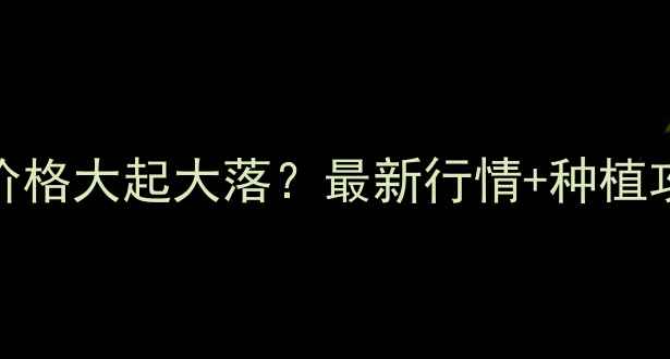 图片 🌾衡水玉米价格大起大落？最新行情+种植攻略全！💰📈