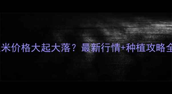 图片 🌾衡水玉米价格大起大落？最新行情+种植攻略全！💰📈1