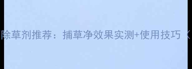 图片 🌾防风苗后除草剂推荐：捕草净效果实测+使用技巧（附配方）🌾