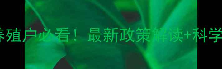 图片 🌾饲料盐使用指南｜养殖户必看！最新政策解读+科学配比技巧（附表格）1