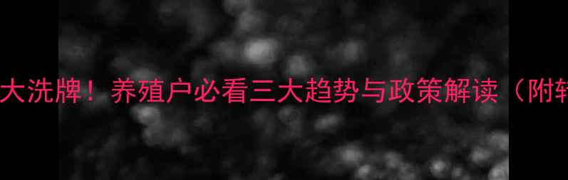 图片 🌾饲料行业大洗牌！养殖户必看三大趋势与政策解读（附转型指南）1