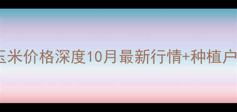 图片 🌾黑龙江三等玉米价格深度10月最新行情+种植户必看避坑指南1
