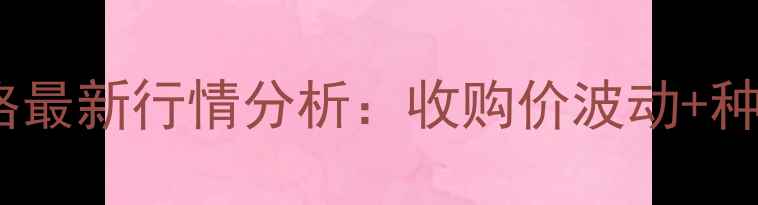 图片 🌾黑龙江玉米价格最新行情分析：收购价波动+种植建议+市场预测