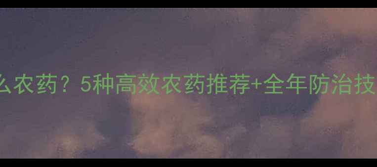 图片 🍇葡萄白蜘蛛用什么农药？5种高效农药推荐+全年防治技巧（附配图教程）1