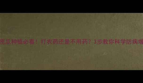 图片 🍈哈密瓜种植必看！打农药还是不用药？3步教你科学防病增收🍈