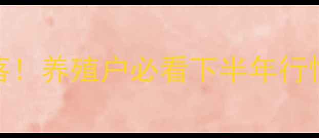 图片 🍗鸭苗价格大起大落！养殖户必看下半年行情分析+避坑指南🐑1